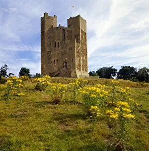 Yellow Collection: Orford Castle K020768