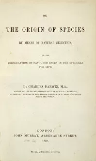 Charles Darwin Collection: On the Origin of Species K970323