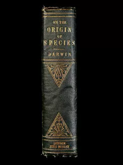 Artefact Collection: On the Origin of Species K970334