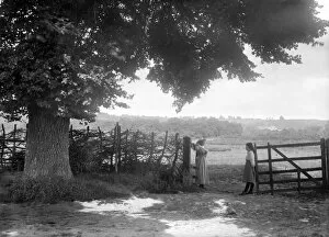 Images Dated 7th June 2011: Oxfordshire country gate BB73_00142