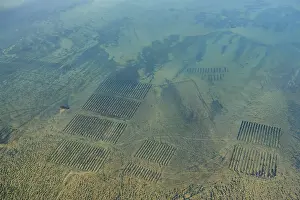 : Oyster Beds in Whitstable Bay 35484_004