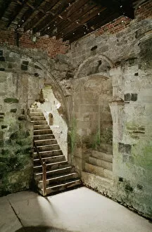 Stair Collection: Pevensey Castle K950445