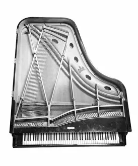 Musical Instrument Collection: Piano BL16778