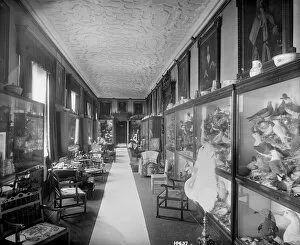 Images Dated 12th July 2010: The Picture Gallery, Audley End House DD58_00106