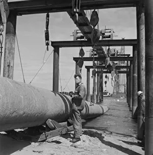 Pipelines Collection: Pipe lifting gear JLP01_08_084489