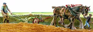 Arable Collection: Ploughing J910039