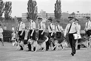 Animals: Dogs Collection: Police dog parade JLP01_08_095438