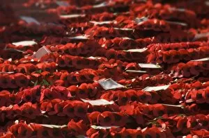 War Memorials Collection: Poppy wreaths N040007