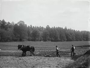 Agriculture Collection: Potato planting MCF01_02_1416