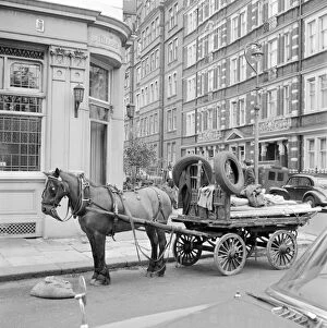 Animals: Horses Collection: Rag and bone cart a064811