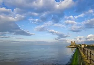 Reculver Towers Collection: Reculver Towers N100069