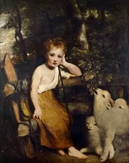Sheep Collection: Reynolds - The Young Shepherdess J030042