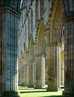 Pillar Collection: Rievaulx Abbey J070047