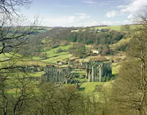 Gothic Collection: Rievaulx Abbey J870075
