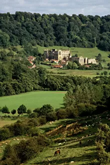 Rural Landscapes Collection: Rievaulx Abbey N050068