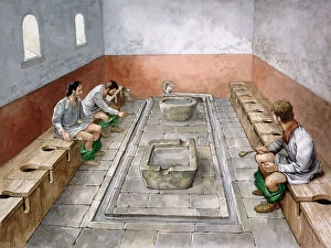 Reconstructing Roman Britain Collection: Roman latrine J000112
