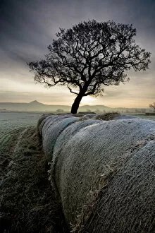 Arable Collection: Roseberry Topping from Morton Carr N100025