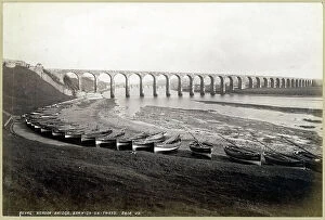 1880s Collection: Royal Border Bridge OP30624