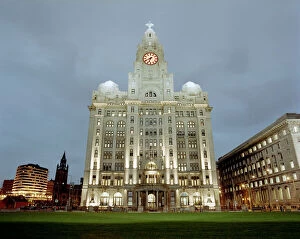Tall Collection: Royal Liver Building N020046