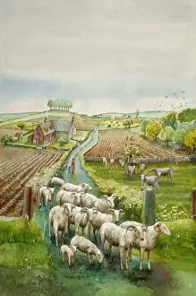 Arable Collection: Rural landscape J910035