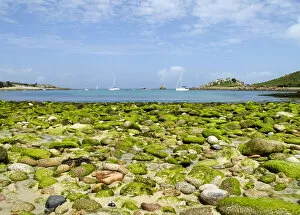 Scilly Isles Collection: Scilly beach DP085525