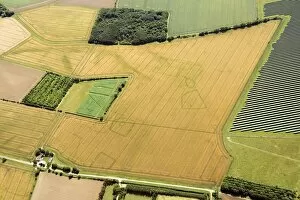 Crop Mark Collection: Settlement cropmarks 33381_050