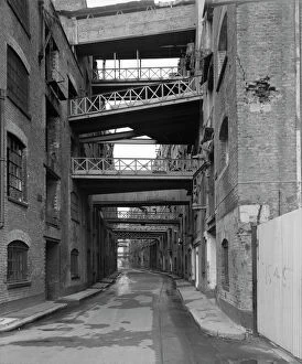 Warehouse Collection: Shad Thames DD004547