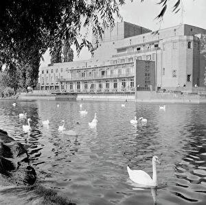 Swan Collection: Shakespeare Royal Theatre, Stratford-upon-Avon a98_05226