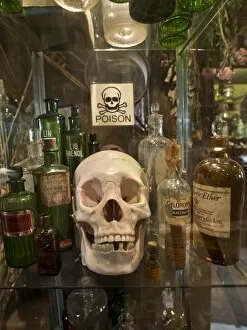Halloween Collection: Skull and poison bottles DP134420