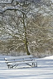 Christmas Collection: Snow covered bench N090025