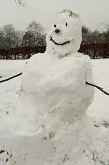 Images Dated 14th January 2022: Snowman DP040440