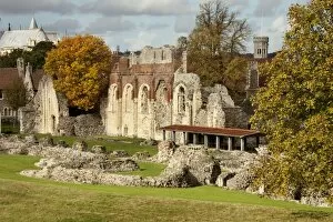 Autumn Collection: St Augustines Abbey N090776