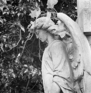 Grave Yard Collection: Statue of an angel a073601