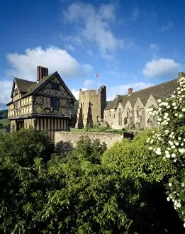 Other Gardens Collection: Stokesay Castle J020073