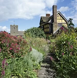 Foliage Collection: Stokesay Castle K980974