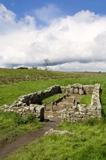 Images Dated 15th May 2007: Temple of Mithras N070982