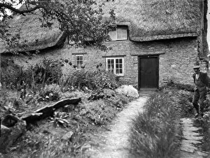 Images Dated 4th November 2022: Thatched cottage MCF01_02_0990
