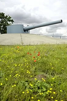 Artillery Collection: Tilbury Fort gun N071539
