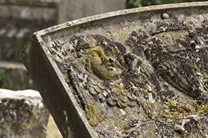 Decay Collection: Tilting grave stone DP218854