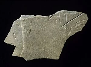 Saxon Collection: Tintagel Castle Artognou inscription stone K980845