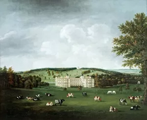 Historic views of Audley End Collection: Tomkins - Audley End J020021