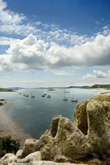 Images Dated 9th June 2009: Tresco, Isles of Scilly N090254
