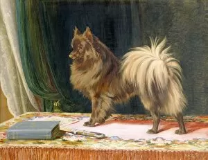 Paintings outside London Collection: Trood - Portrait of Prairie Prince K941062
