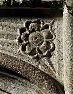 Stone Collection: Tudor rose, Dover Castle J970005