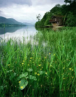 Foliage Collection: Ullswater Boat House, Lake District J060232