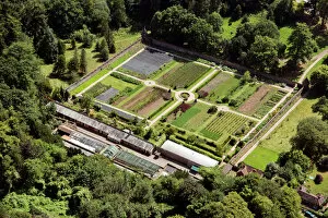 National Trust Collection: Walled garden 33897_019