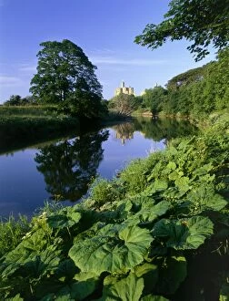 Foliage Collection: Warkworth Castle K022006