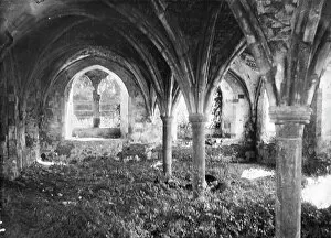 Monastery Collection: Waverley Abbey MCF01_02_1446