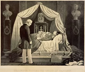 Artefacts and engravings at Apsley House Collection: Wellington Visiting the Relics of Napoleon J050177