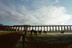 Viaduct Collection: Welwyn Railway Viaduct IoE158231